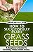 How To Successfully Plant Grass Seeds