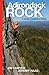Adirondack Rock by Jim Lawyer
