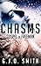 Chasms: Gospel of Freeman