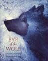 Eye of the Wolf by Daniel Pennac Eye of the Wolf by Daniel Pennac