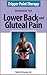 Trigger Point Therapy Workbook for Lower Back and Gluteal Pain