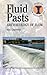 Fluid Pasts: Archaeology of Flow (Debates in Archaeology)