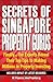 Secrets of Singapore Property Gurus