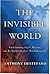 The Invisible World: Unders...