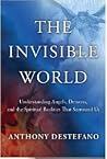 The Invisible Wor...