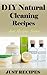 DIY NATURAL CLEANING RECIPES: JUST RECIPES SERIES