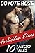 Forbidden Kisses: Ten Taboo...