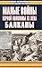 Малые войны первой половины XX века. Балканы
