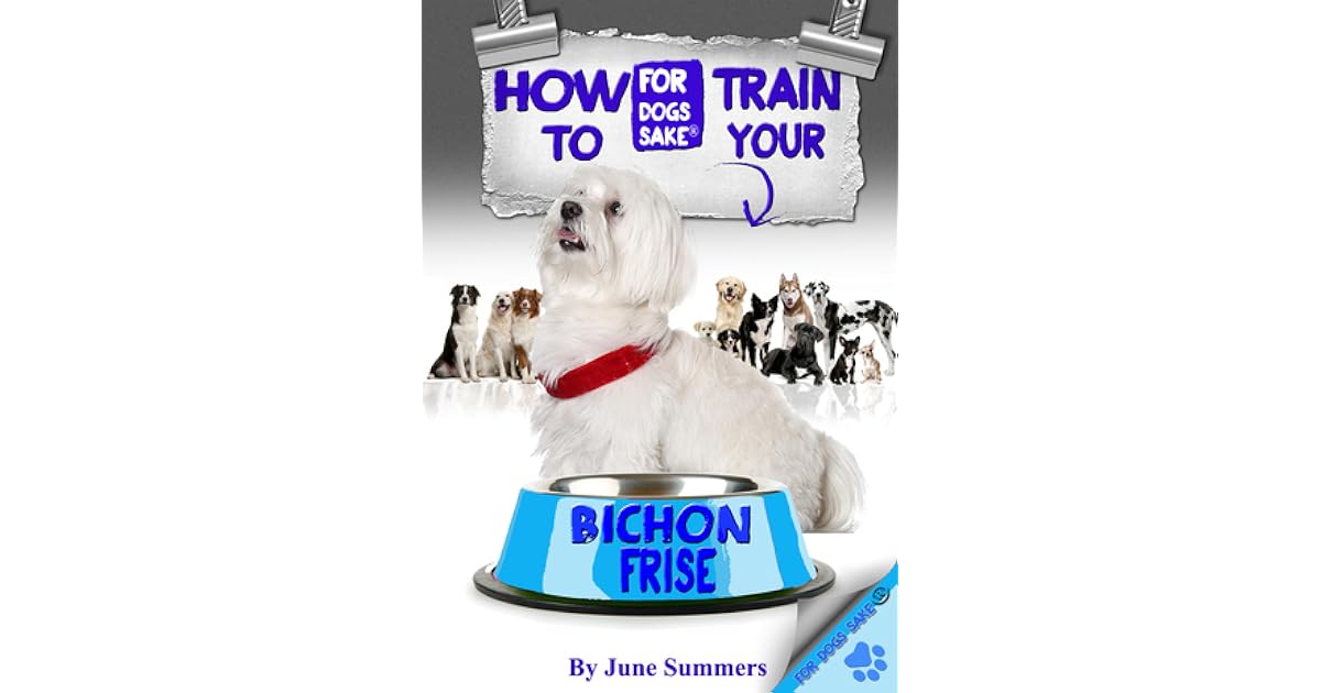 how to train your bichon frise