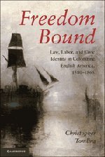 Freedom Bound: Law, Labor, and Civic Identity in Colonizing English America, 1580-1865 (Paperback)