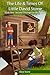 The Life Times of Little David Stone: Book Two - Second through Fourth Grades