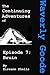 The Continuing Adventures o...