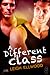 A Different Class (1Night Stand, #203)