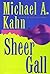 Sheer Gall (Rachel Gold Mysteries #4)