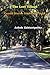 The Lost Village by Ashok Kabisatpathy