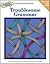 Troublesome Grammar Advanced English Series, Extra Value Large Edition
