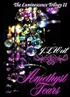 Amethyst Tears by J.L. Weil
