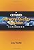 The Certified Software Quality Engineer Handbook