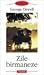Zile birmaneze by George Orwell