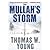 Thomas W. Young'sThe Mullah's Storm [Hardcover] by Thomas W. Young