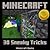 Minecraft: 30 Sneaky Minecraft Tricks