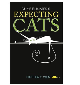 Dumb Bunnies and Expecting Cats