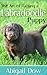 The Art of Raising a LABRADOODLE Puppy: From Puppyhood to Adult Dog (The Art of Raising Puppies From Puppyhood to Adult Dog)