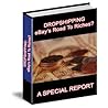 Dropshipping: EBAY's Road To RICHES? A Special Report! AAA+++