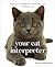 Your Cat Interpreter: How t...
