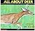 All about Deer (All About.... Series)