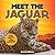 Meet The Jaguar: Fun Facts & Cool Pictures (Meet The Cats)