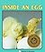 Inside an Egg