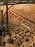 Train To Delhi by Shiv K. Kumar