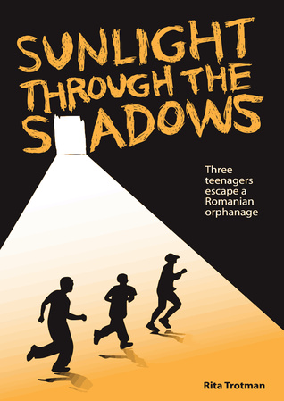 Sunlight Through the Shadows