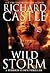 Wild Storm (Derrick Storm, #5)