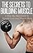 The Secrets To Muscle Building: A Step-By-Step Guide to Weight Loss And Muscle Mass (Health Fitness, Weight Loss, Lose Weight Fast, Muscle And Fitness, Workout)