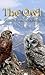 The Owl by Simon Smith-Wilson