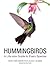 Hummingbirds by Michael Fogden