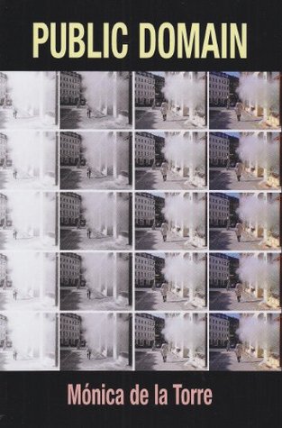 Public Domain (Paperback)