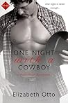 One Night with a Cowboy (Paint River Ranch, #2)