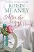 After the Wedding by Roisin Meaney