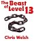 The Beast of Level 13