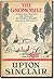 The gnomobile: A gnice gnew gnarrative with gnonsense, but gnothing gnaughty