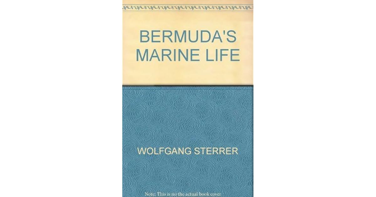 Bermuda's Marine Life by Wolfgang Sterrer