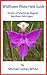 Wildflower Photo Field Guide, Straits of Mackinac Region, Northern Michigan
