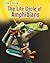 The Life Cycle of Amphibians (Heinemann Infosearch: Life Cycles: Level R Science)