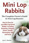 Mini Lop Rabbits:...