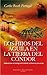 Los hijos del águila en la tierra del cóndor: Historia de un inmigrante alemán en tierras peruanas (Spanish Edition)