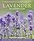 Lavender by Virginia McNaughton