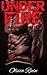 Under Fire (Winged Enemy MC, #2)